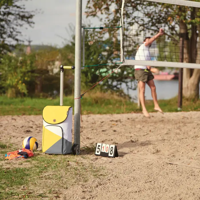 Сумка-тележка Andersen Unus Shopper Ester Yellow (140-195-10)