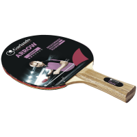 Ракетка для настільного тенісу Garlando Arrow 2 Stars (2C4-114)