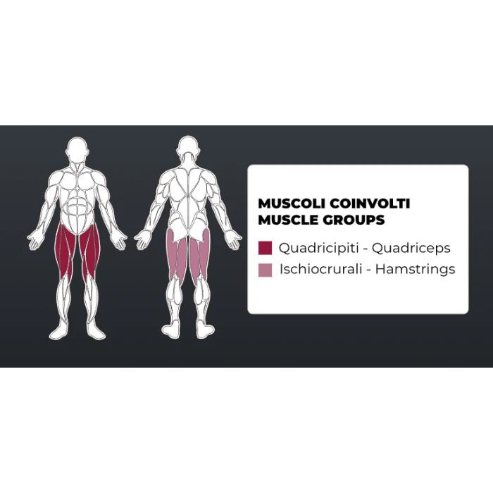 Тренажер для жима ногами Toorx FWX-6000 LEG PRESS