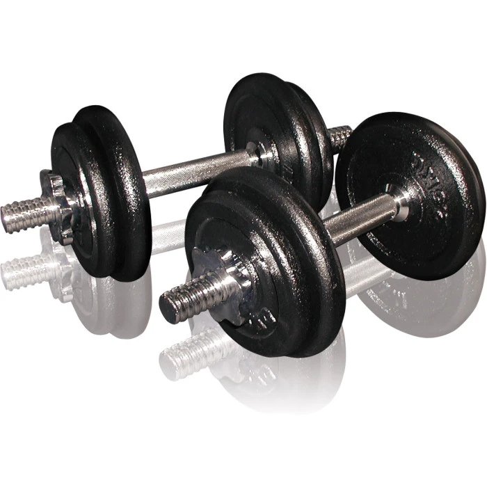 Гантели сборные Toorx 20 кг с кейсом (VAL-20DGN)