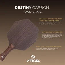 Основа для ракетки Stiga Destiny Carbon Cybershape Master (1600-2602-35)
