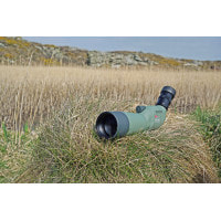 Подзорная труба Kowa TSN-602 60 mm Straight (10017)