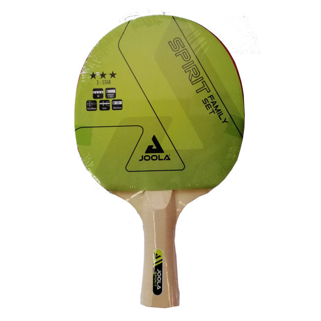 Набір для настільного тенісу Joola Family 4 Bats 10 Balls (54810)