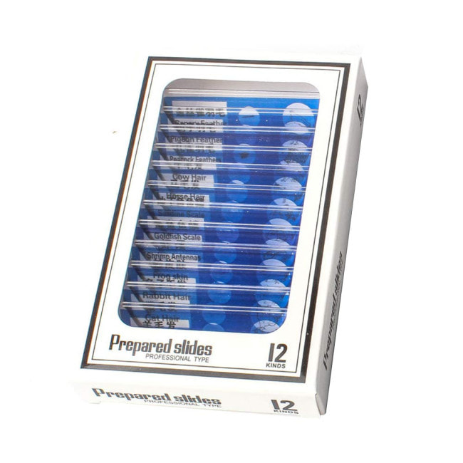 Слайды set of 12. aminal (E35.3617)