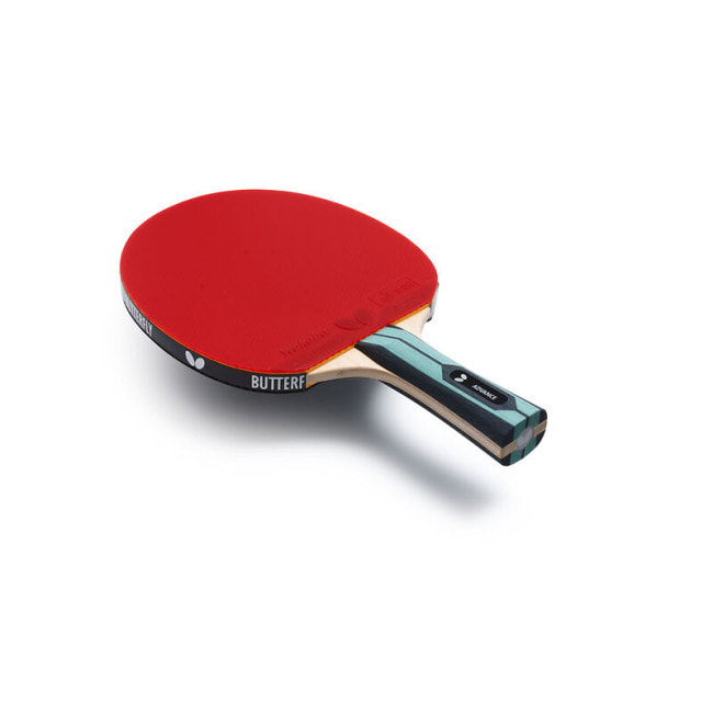 Ракетка для настільного тенісу Team Butterfly Advance FL (6256900002)
