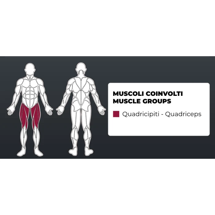 Силовая платформа для разгибания ног Toorx FWX-4800 (FWX-4800)