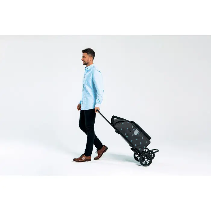 Сумка-тележка Andersen Quattro Shopper Ando Blue (185-170-90)