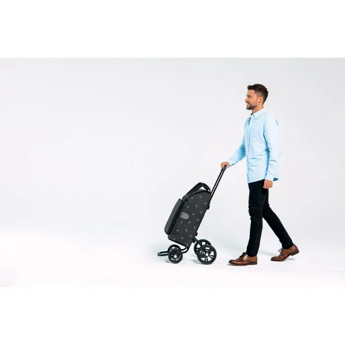 Сумка-тележка Andersen Quattro Shopper Ando Blue (185-170-90)